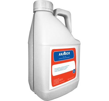 Anabor
