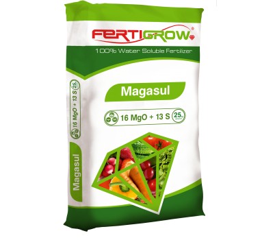 Magasul
